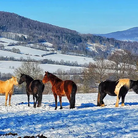 Habelberg شقة Lahrbach