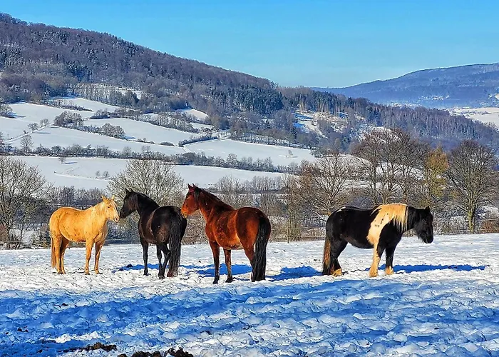 Habelberg 公寓 Lahrbach